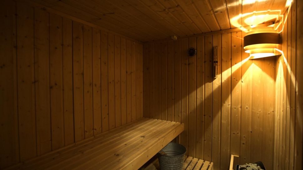 Chalet Bayona in Les Arcs