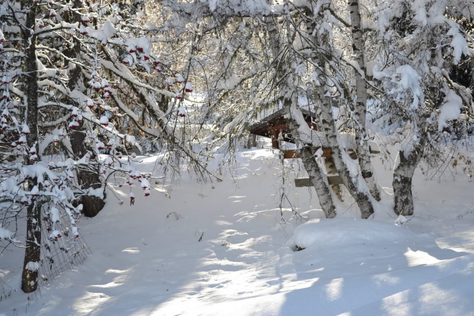 Chalet Pierra Menta in La Plagne