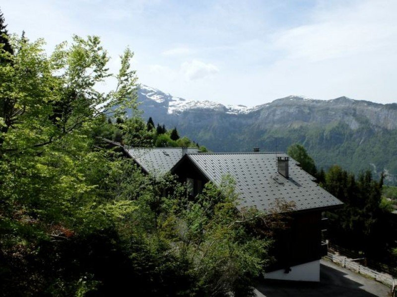 1 Bedroom Apartment in Samoëns