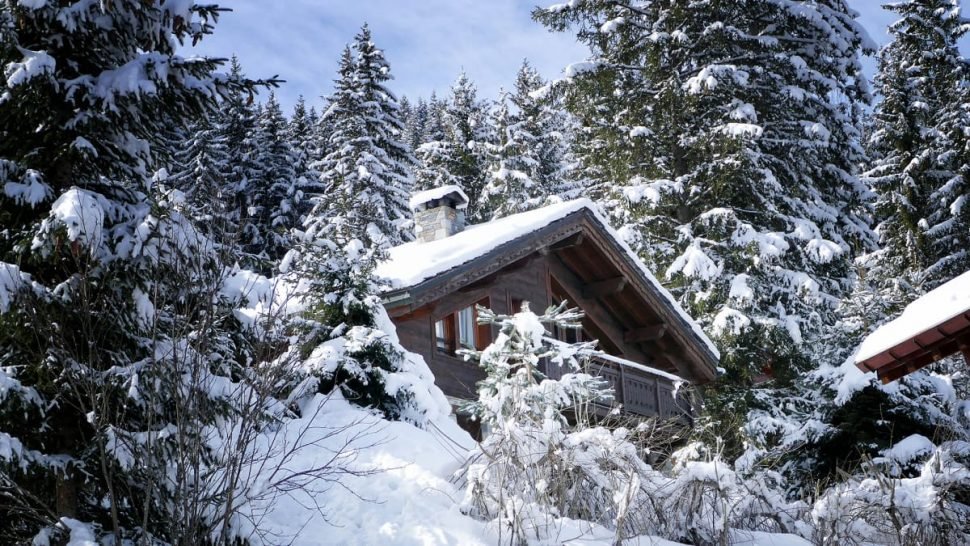 Chalet Vallon Blanc in La Tania