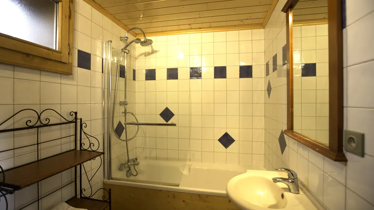 Chalet Emilie in Meribel