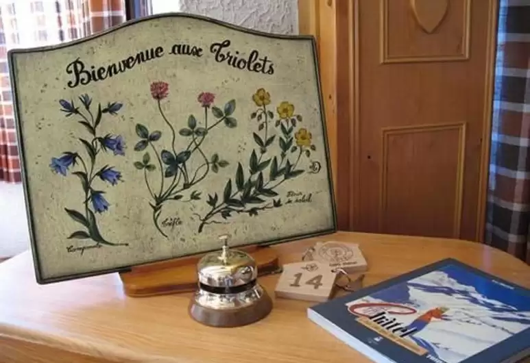 Hotel Les Triolets in Chatel