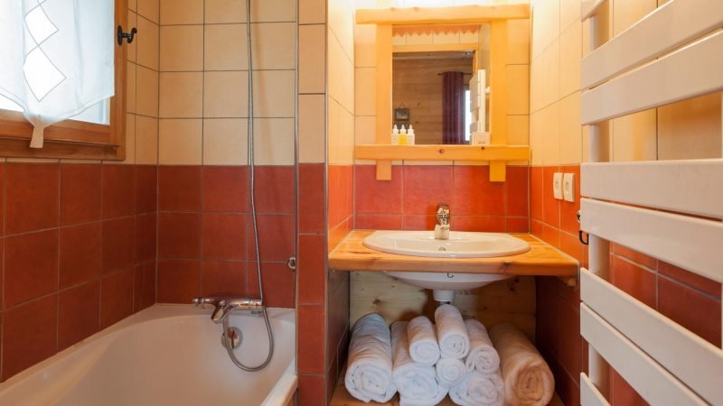 Apartment Les Balmes in Sainte Foy