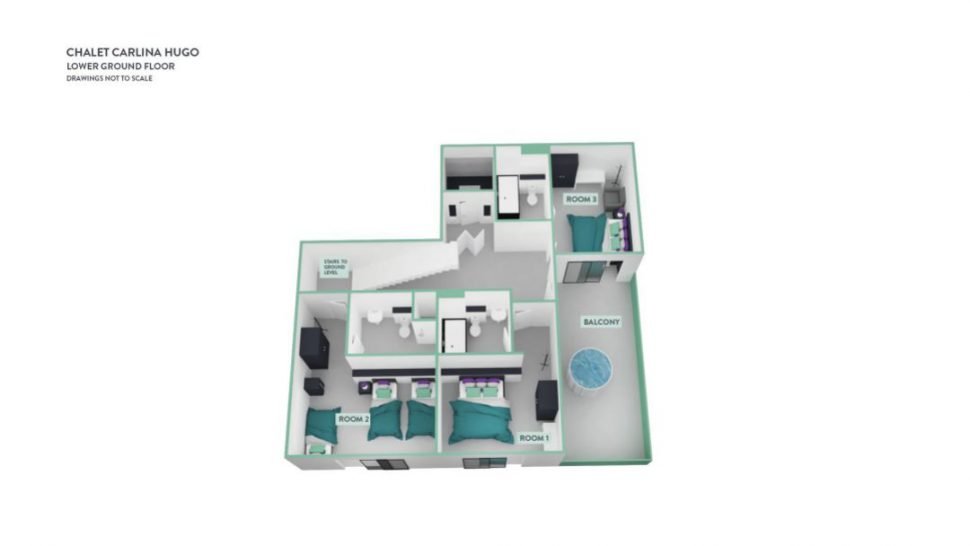 Chalet Carlina Hugo Belle Plagne in La Plagne